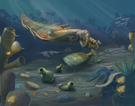 período cambriano